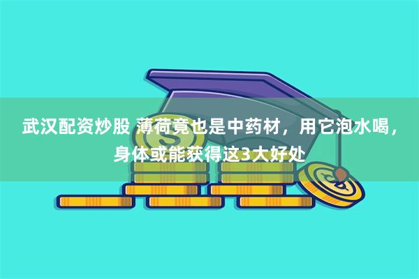 武汉配资炒股 薄荷竟也是中药材，用它泡水喝，身体或能获得这3大好处