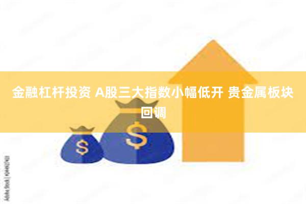 金融杠杆投资 A股三大指数小幅低开 贵金属板块回调