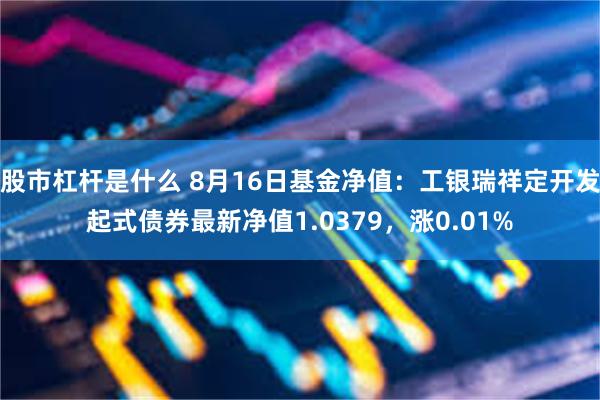 股市杠杆是什么 8月16日基金净值：工银瑞祥定开发起式债券最新净值1.0379，涨0.01%