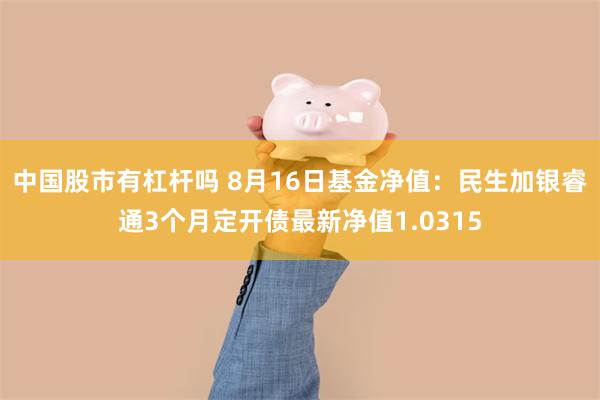 中国股市有杠杆吗 8月16日基金净值：民生加银睿通3个月定开债最新净值1.0315