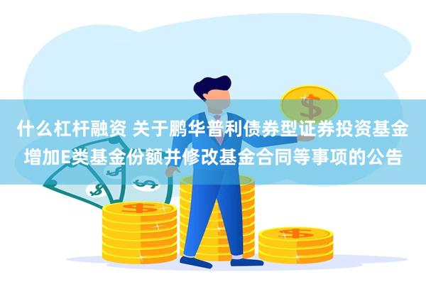 什么杠杆融资 关于鹏华普利债券型证券投资基金增加E类基金份额并修改基金合同等事项的公告