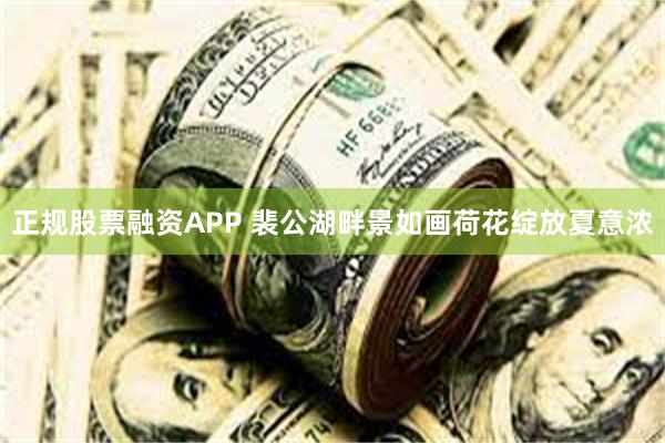 正规股票融资APP 裴公湖畔景如画　荷花绽放夏意浓