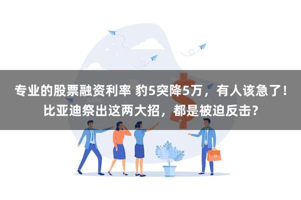 专业的股票融资利率 豹5突降5万，有人该急了！比亚迪祭出这两大招，都是被迫反击？