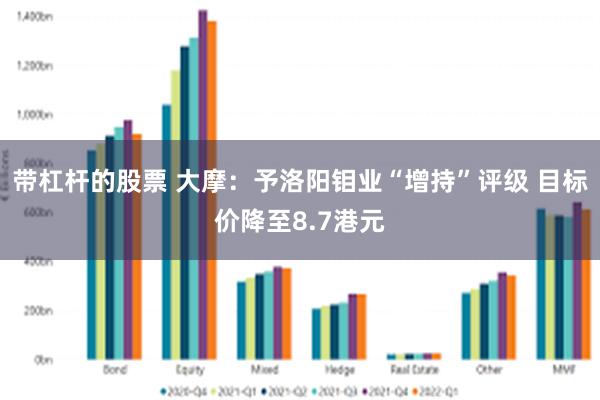 带杠杆的股票 大摩：予洛阳钼业“增持”评级 目标价降至8.7港元