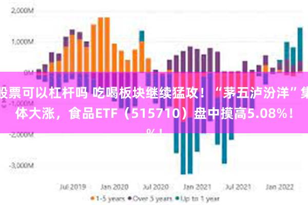 股票可以杠杆吗 吃喝板块继续猛攻！“茅五泸汾洋”集体大涨，食品ETF（515710）盘中摸高5.08%！