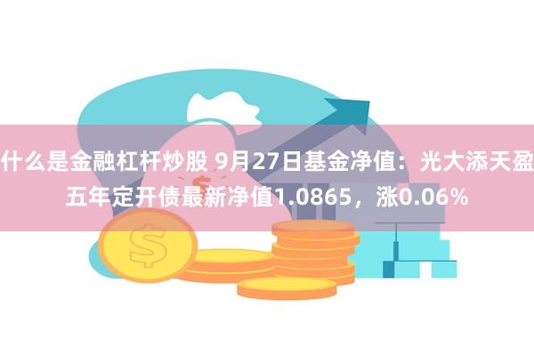 什么是金融杠杆炒股 9月27日基金净值：光大添天盈五年定开债最新净值1.0865，涨0.06%