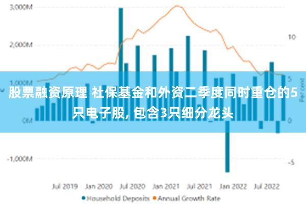 股票融资原理 社保基金和外资二季度同时重仓的5只电子股, 包含3只细分龙头