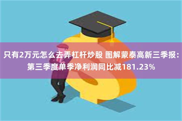 只有2万元怎么去弄杠杆炒股 图解蒙泰高新三季报：第三季度单季净利润同比减181.23%