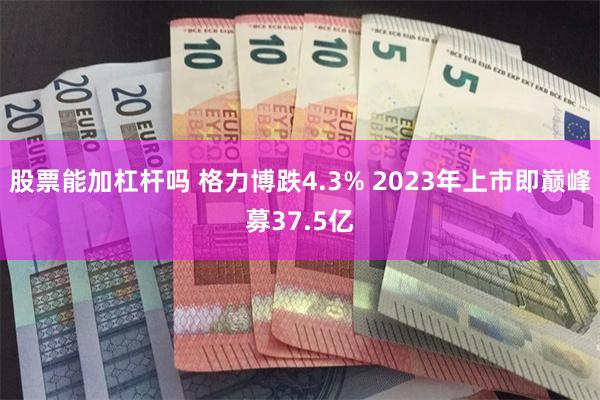 股票能加杠杆吗 格力博跌4.3% 2023年上市即巅峰募37.5亿