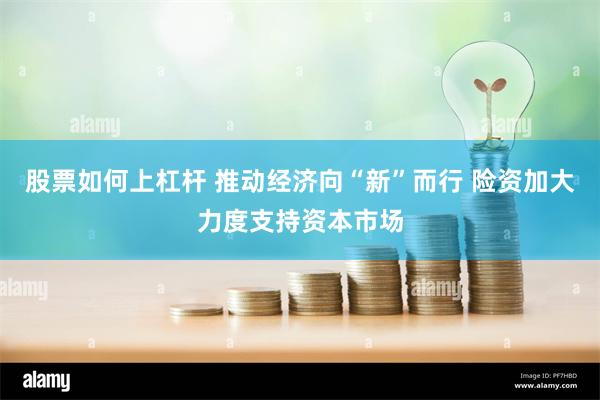 股票如何上杠杆 推动经济向“新”而行 险资加大力度支持资本市场