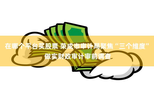 在哪个平台买股票 荣成市审计局聚焦“三个维度” 做实财政审计审前调查
