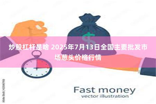 炒股杠杆是啥 2025年7月13日全国主要批发市场葱头价格行情